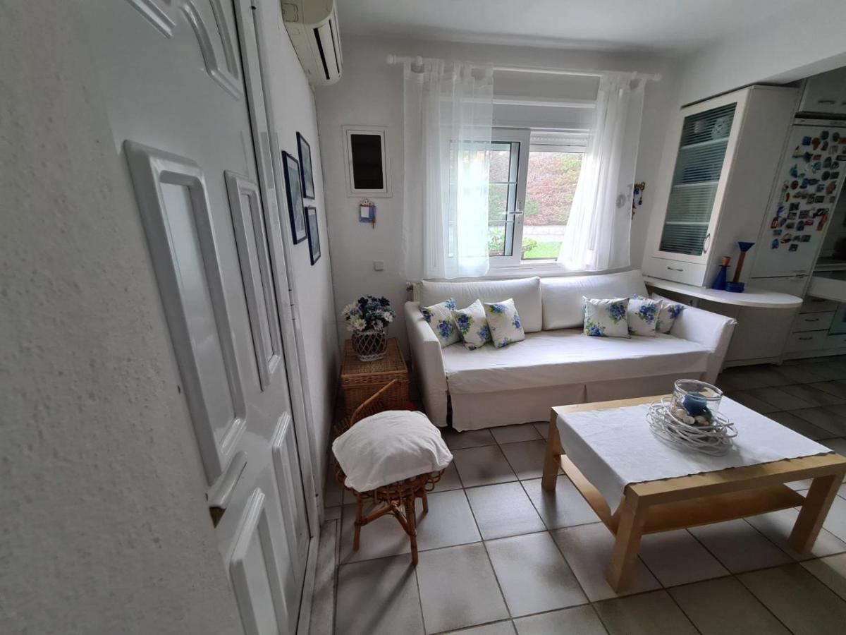 Vila Wonderful House With Private Garden Flogita Exteriér fotografie