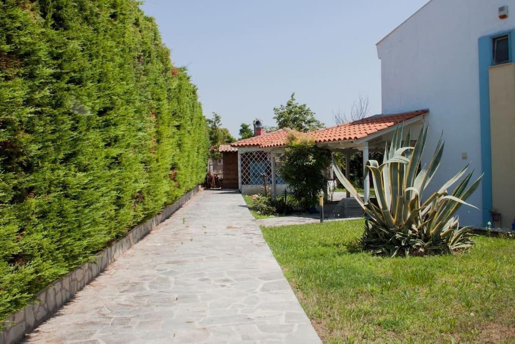 Vila Wonderful House With Private Garden Flogita Exteriér fotografie